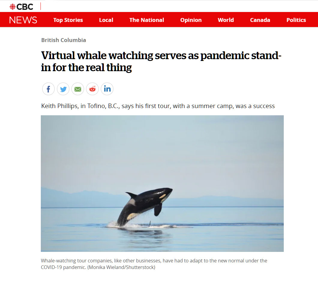 accessible whale tours tofino